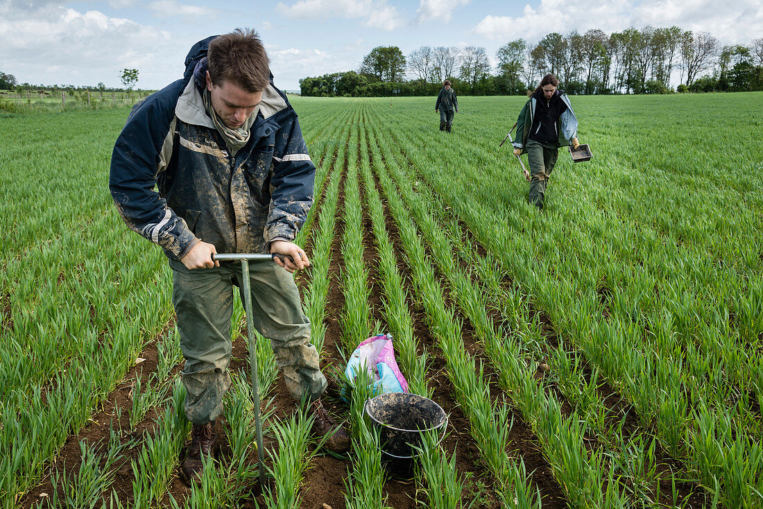 Carbon sequestration soil research