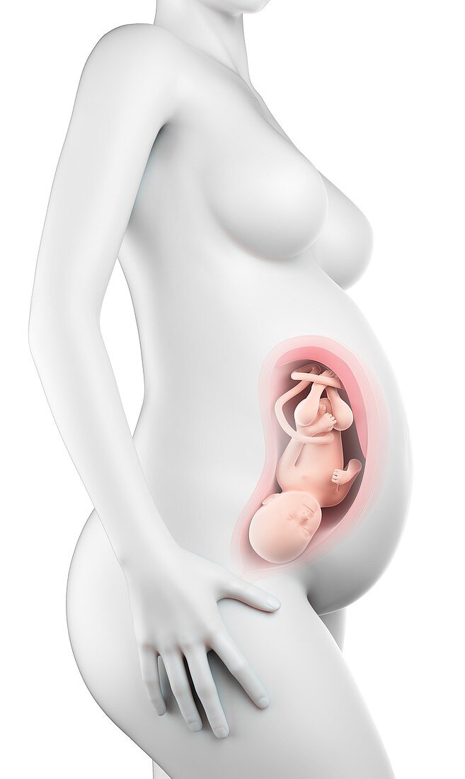 Pregnant woman,week 35