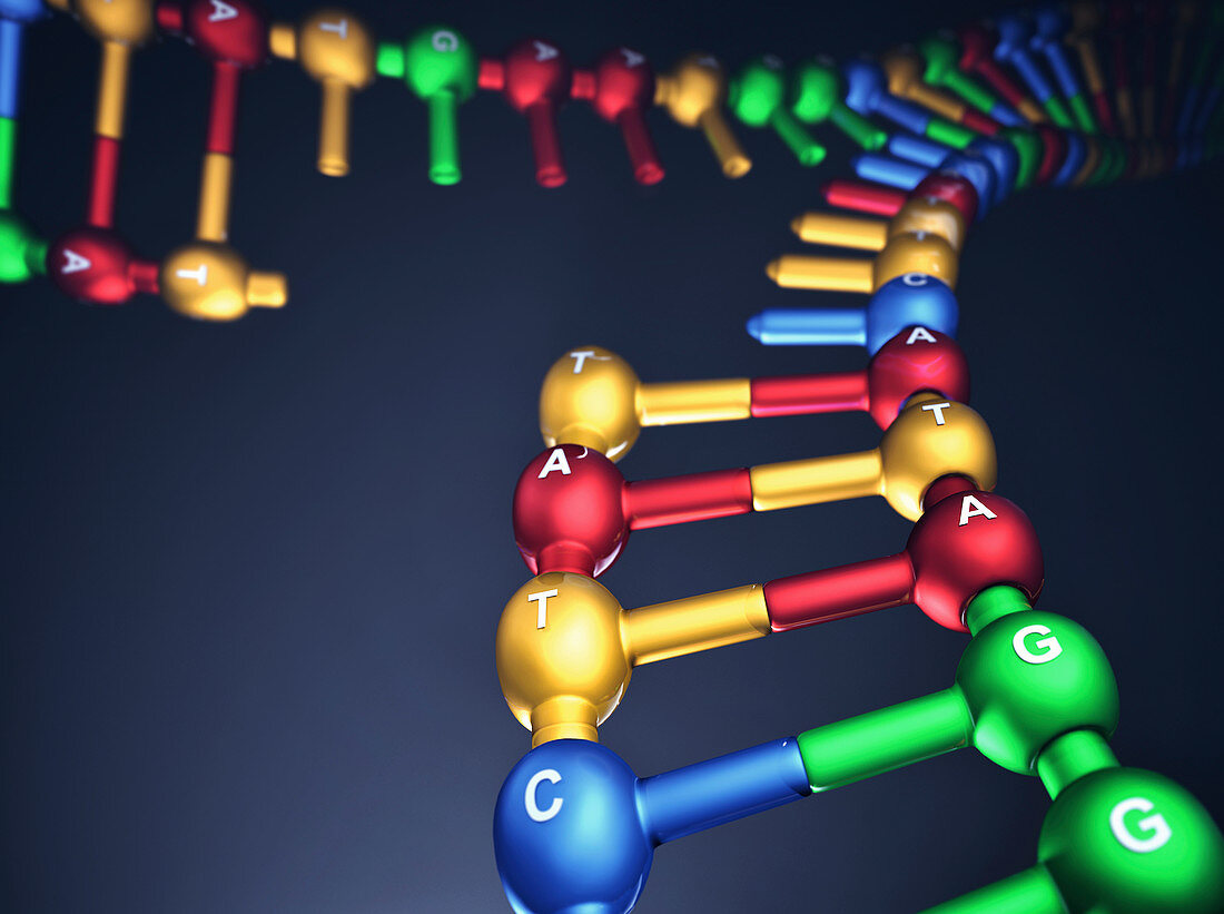 DNA strand,illustration