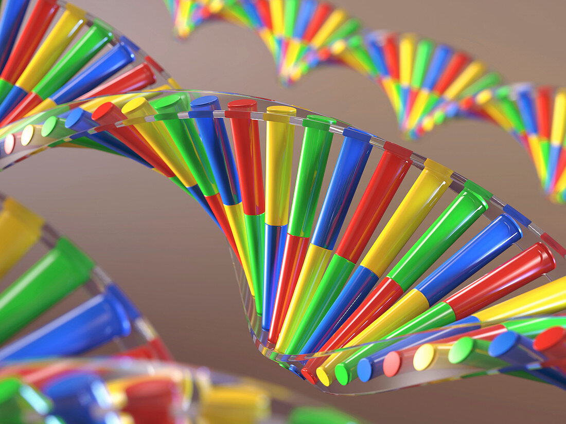DNA strand,illustration