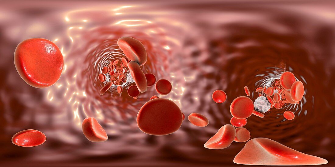Red blood cells,illustration