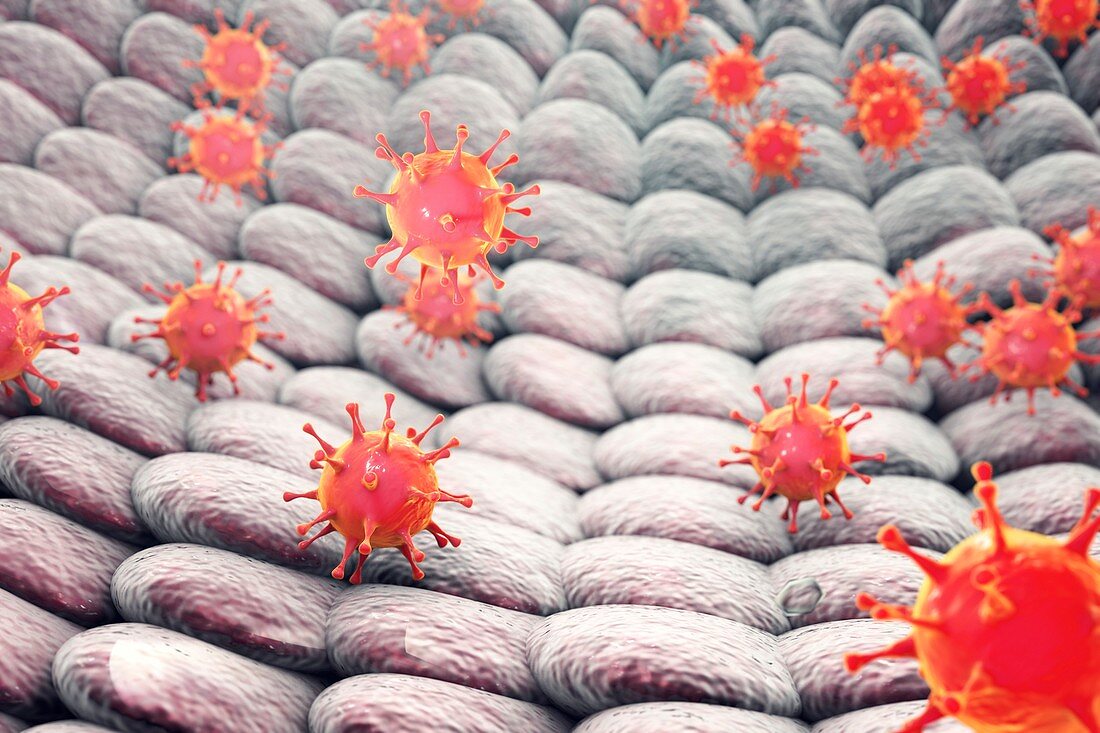 Viruses infecting cells,illustration