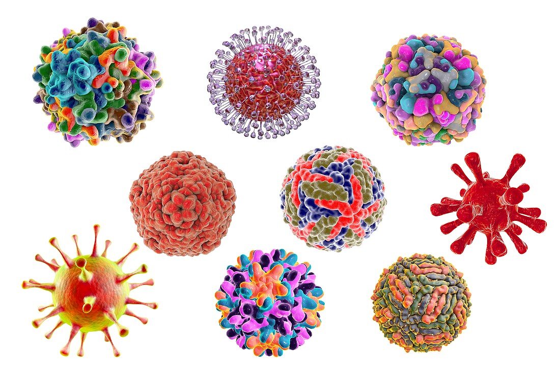 Virus of different shapes,illustration