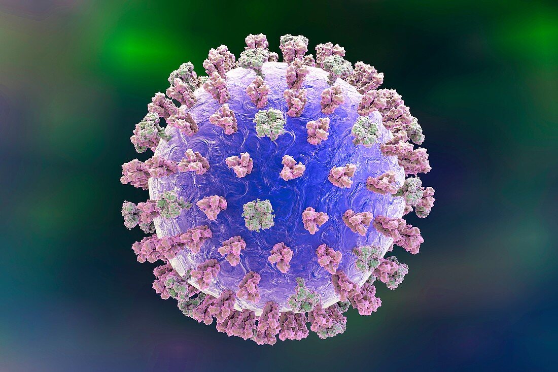 Influenza virus,illustration