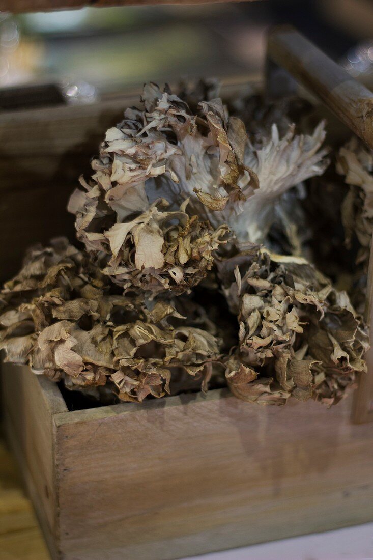 Maitake mushrooms