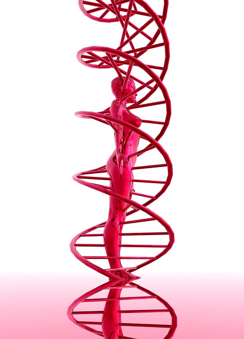 DNA with human figure,illustration