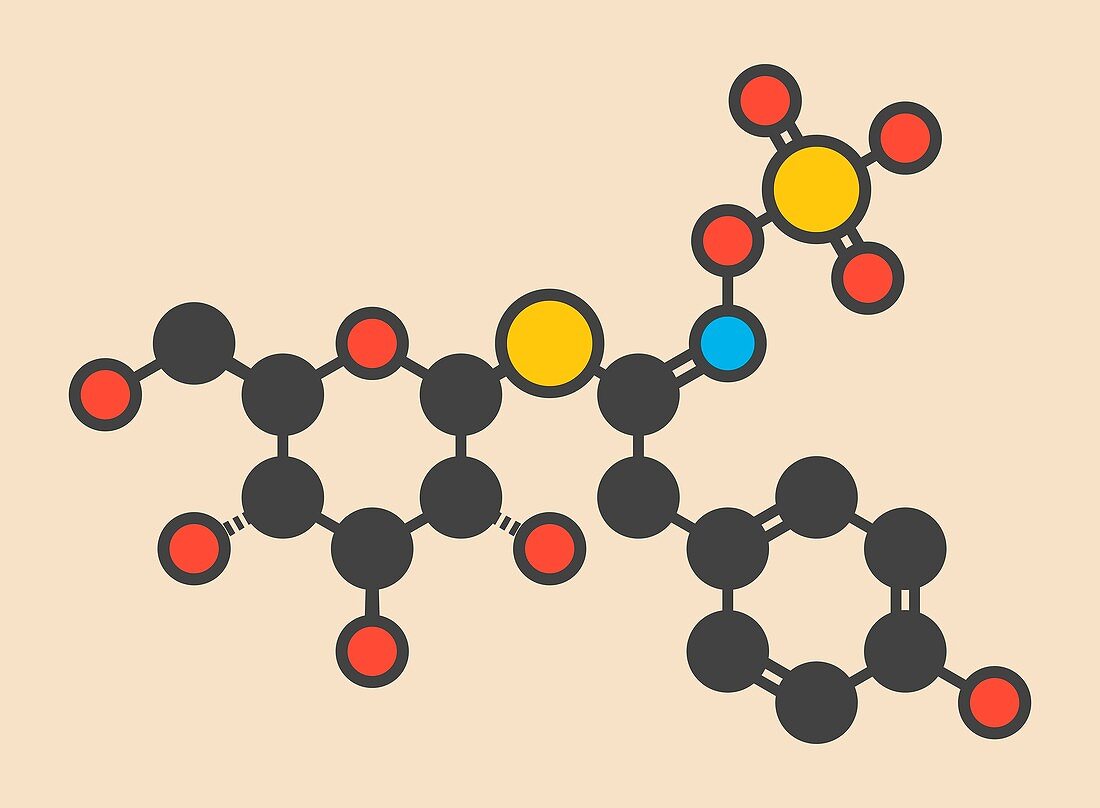 Sinalbin glucosinolate molecule