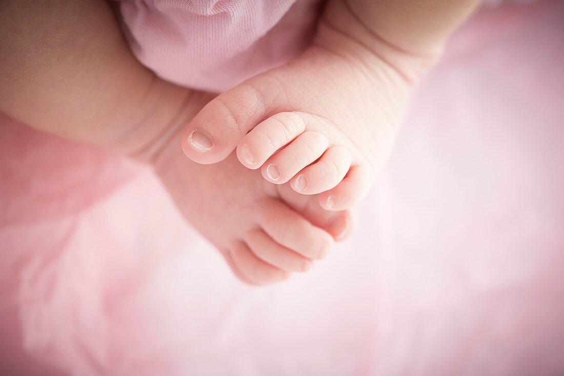 Newborn baby girl's bare feet