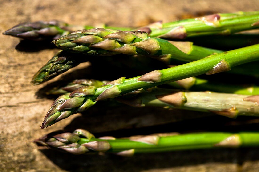 Asparagus (Asparagus officinalis) tips