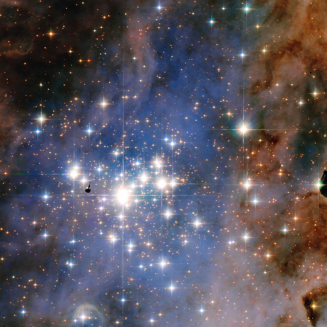Trumpler 14 star cluster,HST image