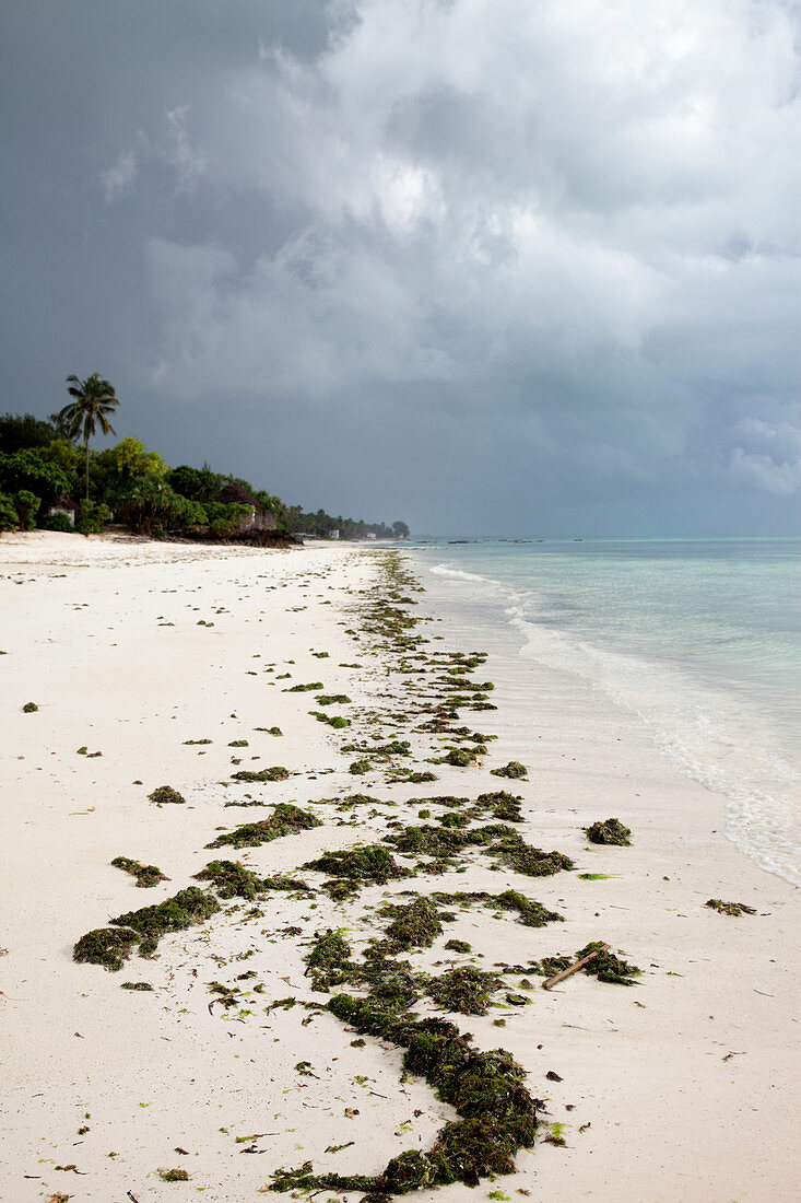 Storm over a beach,Zanzibar