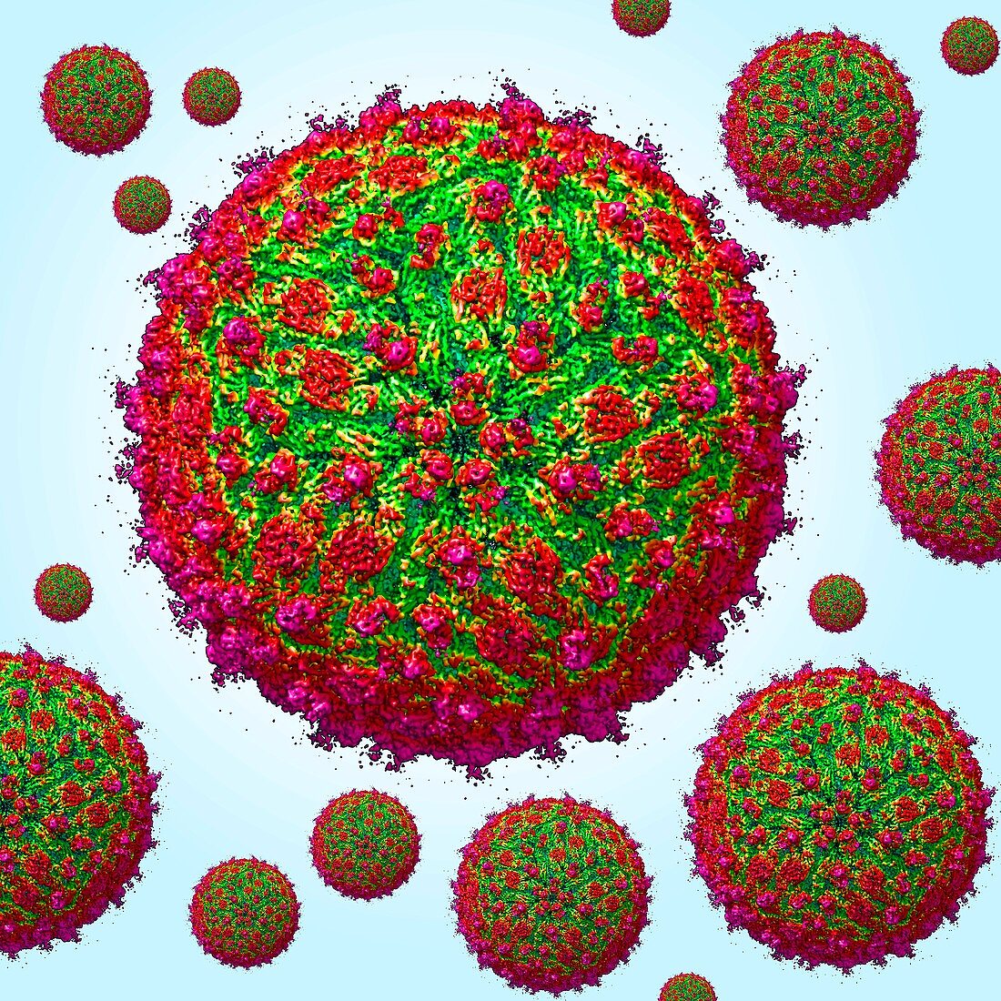 Zika virus particles,molecular model