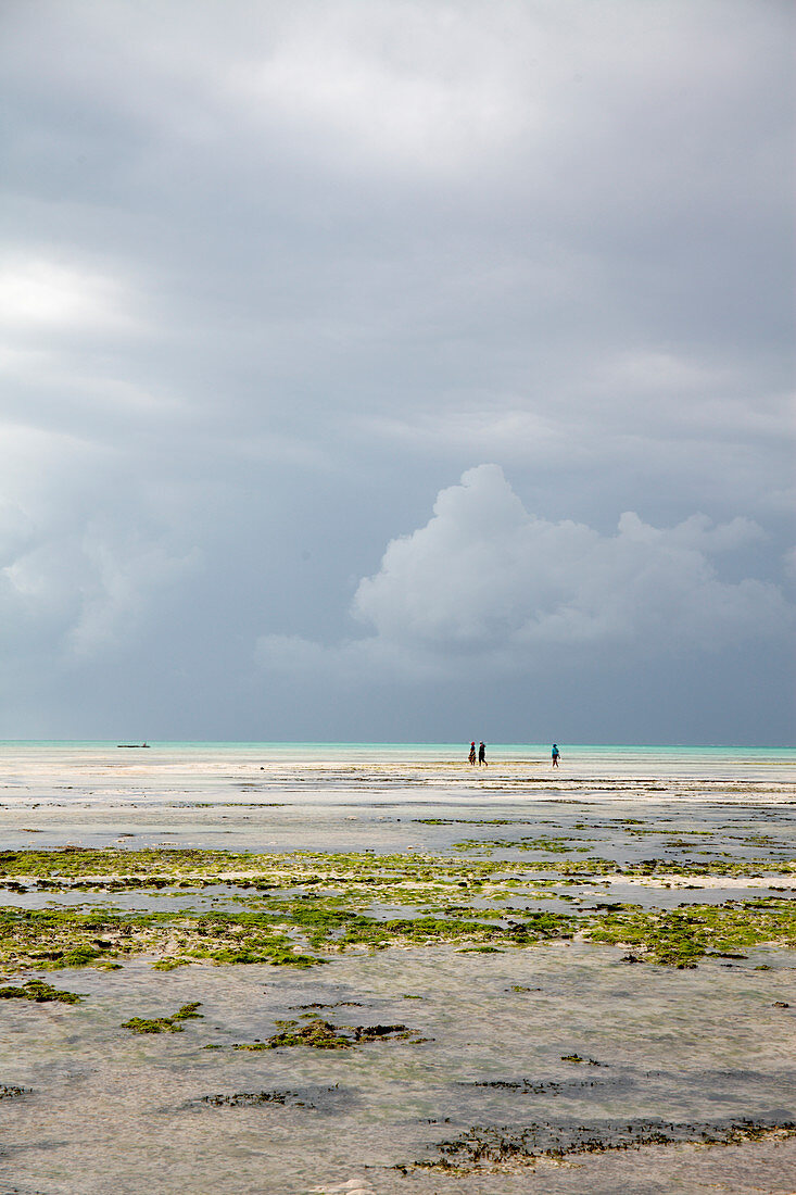 Storm clouds over beach at low tide
