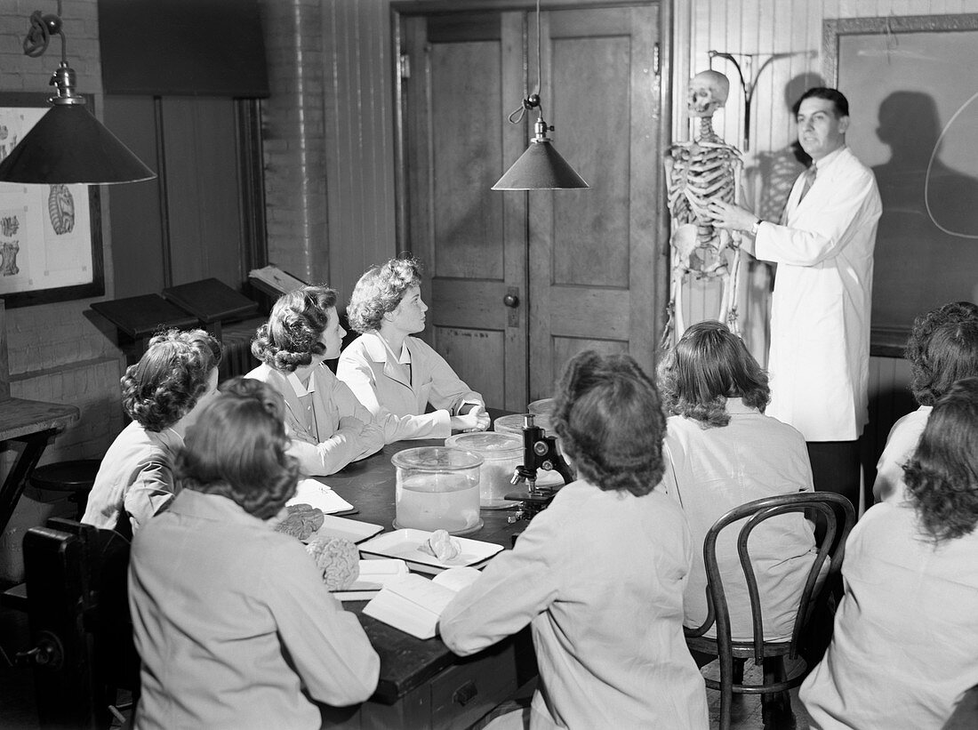 Student nurses learning anatomy,1943