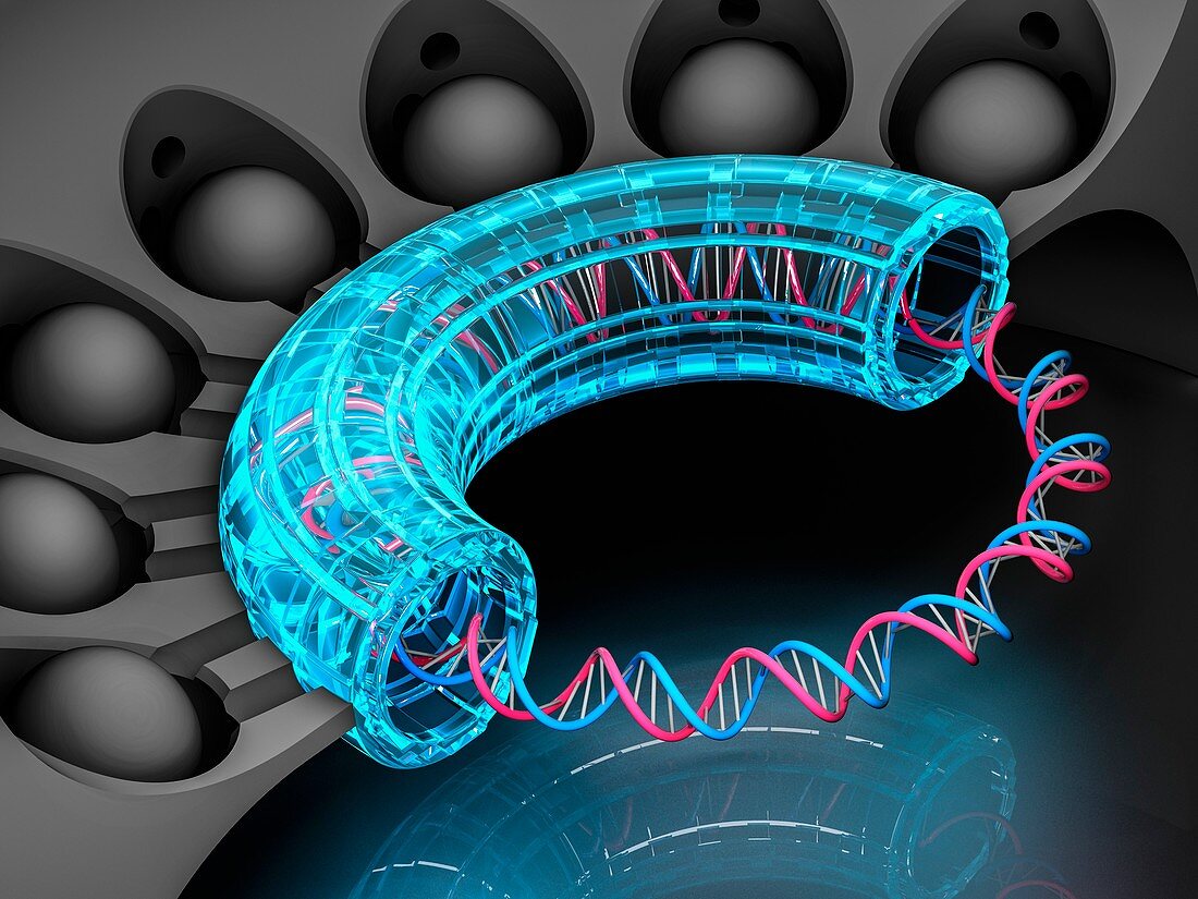 Genetic engineering,illustration