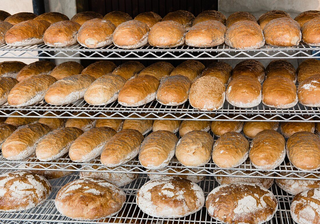 Loaves of white bread sprinkled with poppy seeds on shelves in a bakery