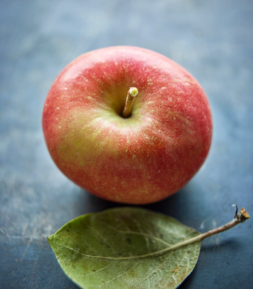 Apfel, angefault, mit Blatt