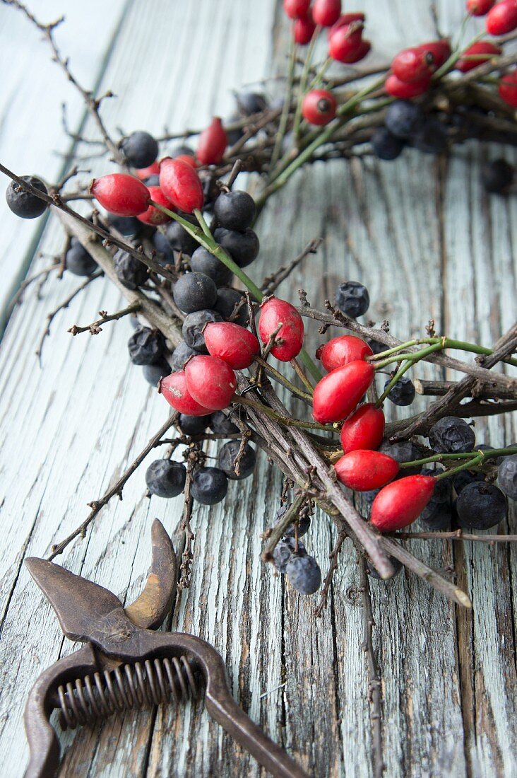 Secateurs next to wreath of sloe branches and rose hips