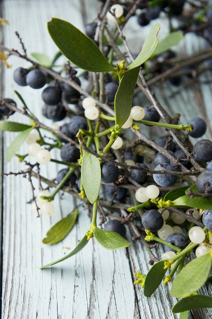 Wreath of sloes and mistletoe