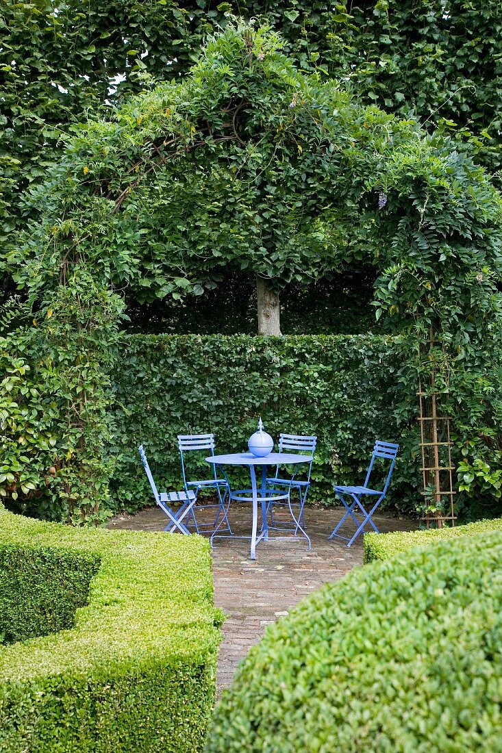 Blue garden furniture in seating area below climber-covered pavillion