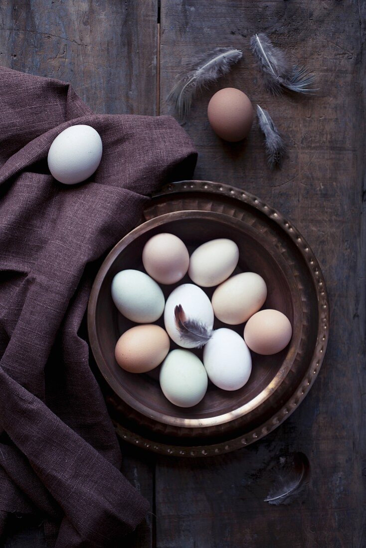 Fresh eggs with a feather in a dish