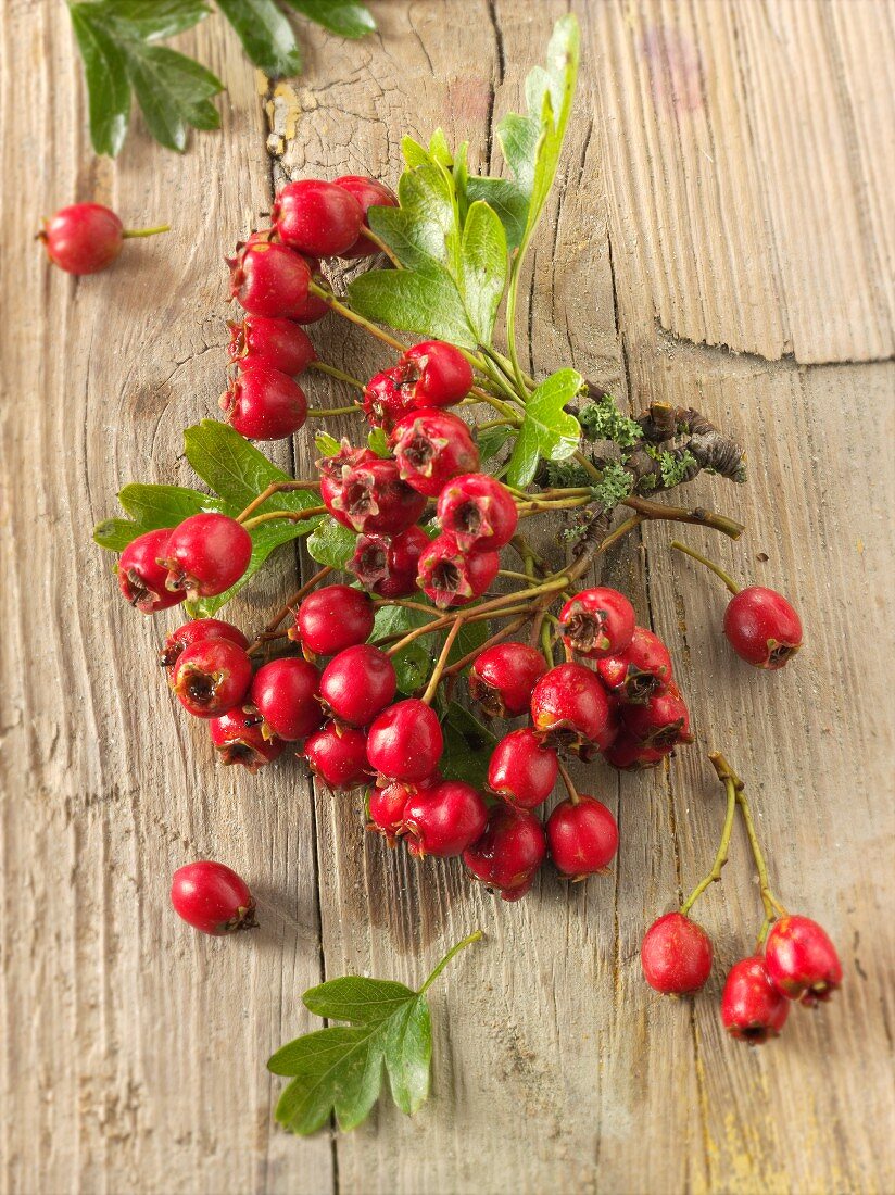 Freshly picked hawthorn berries on a wooden surface