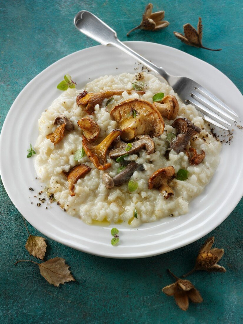 Risotto with forest mushrooms