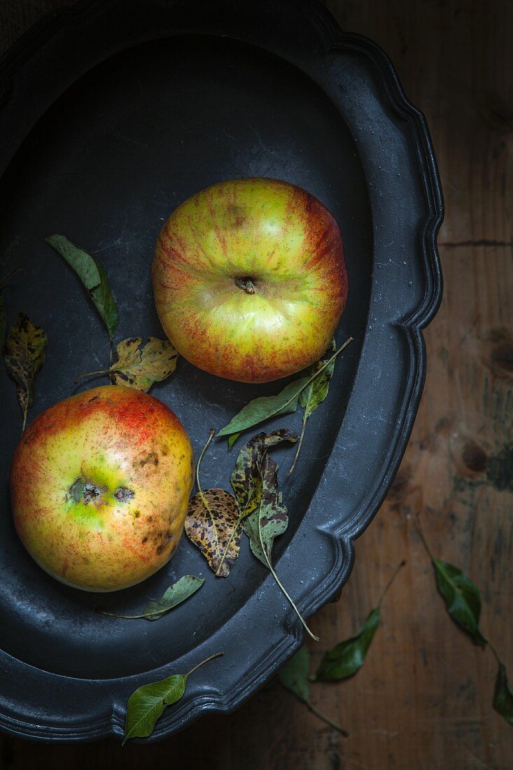 Two organic apples on a tray (seen from above)