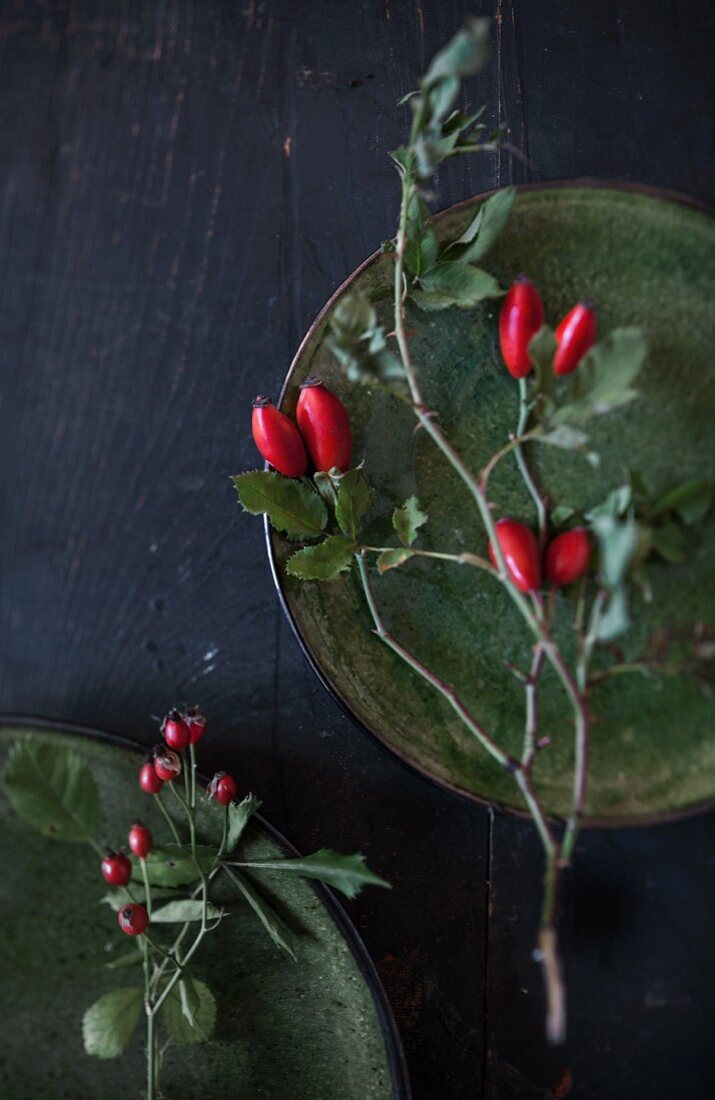 Sprigs of rose hips on green stoneware plates and black surface