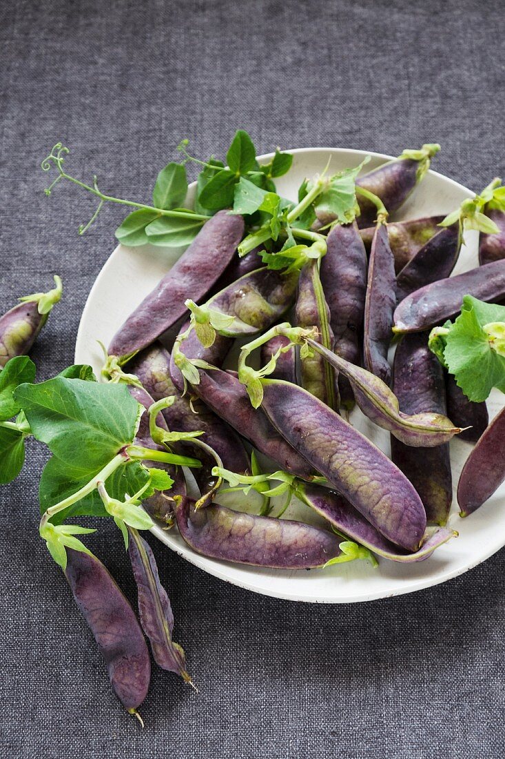 Fresh purple peas on a plate