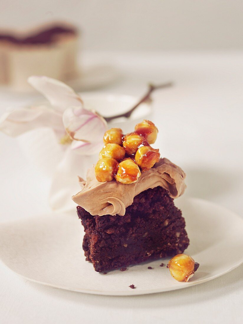 Chocolate cake with chocolate cream and caramelised hazelnuts