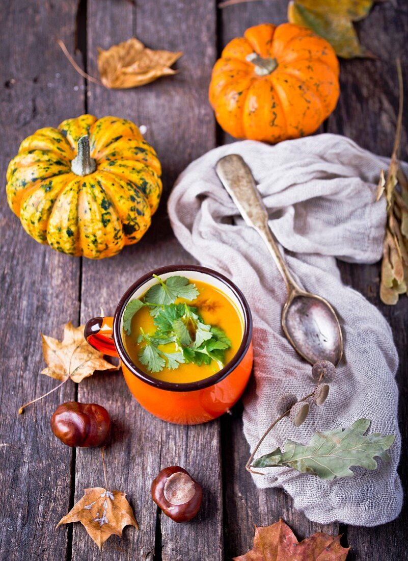 Cream of pumpkin soup in a cup between pumpkins, autumn leaves and chestnuts