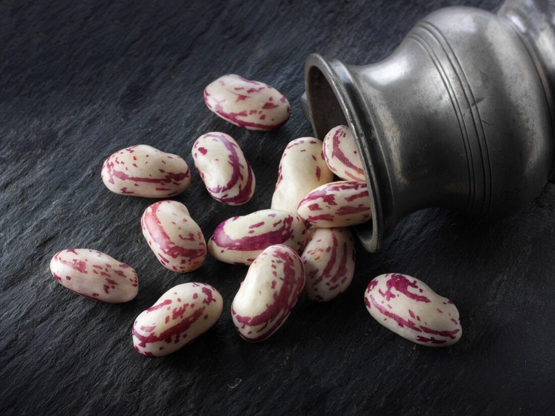 Freshly picked borlotti beans falling out of a pewter jug