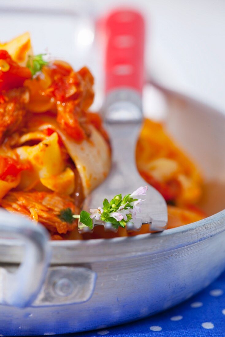 Pappardelle pasta with a tomato, onion, garlic, oregano and tuna sauce