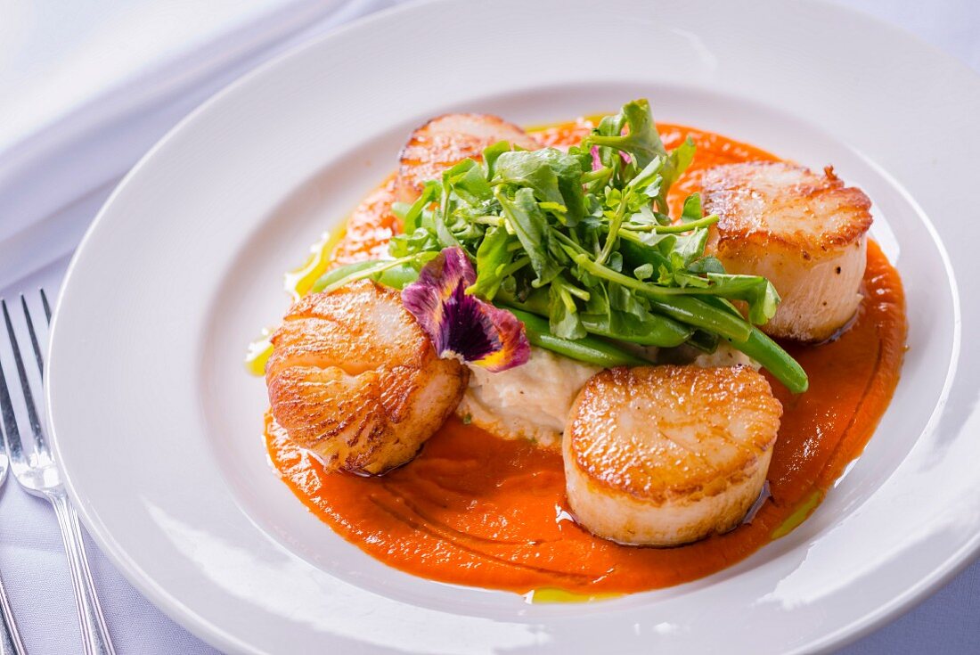 Seared scallops with mashed potaoes and greens