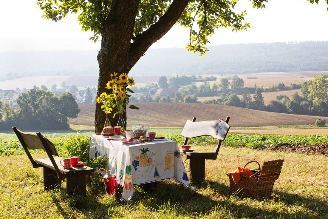 Bundt cake on table set for afternoon coffee under apple tree with view of landscape