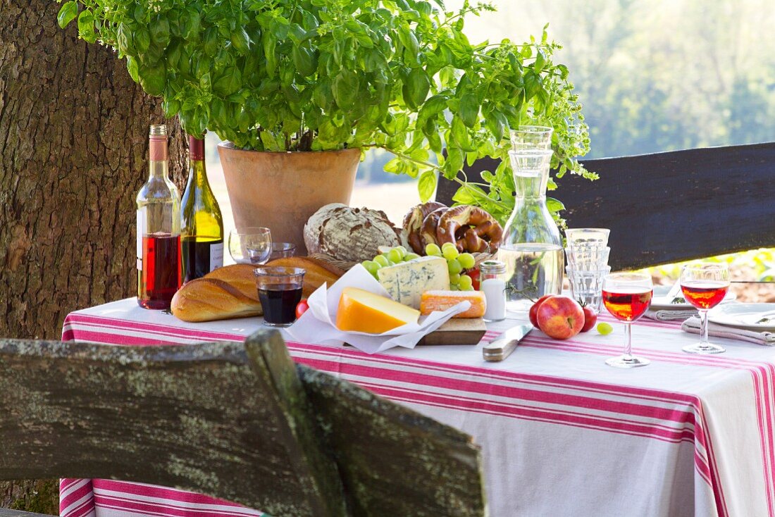 Basic plant, bread, cheese, wine and carafe of water on set table outdoors