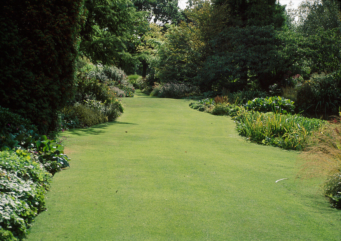 English lawn