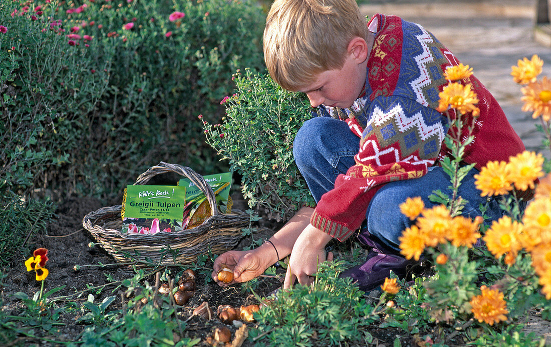 Kind pflanzt Zwiebeln im Herbst