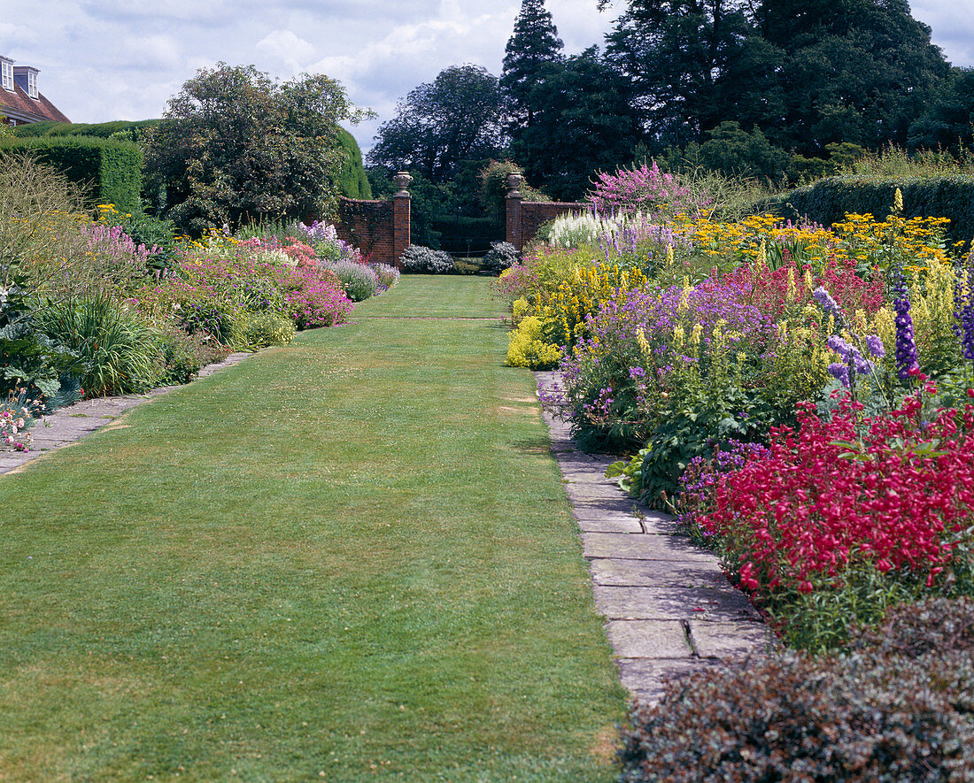 Perennial beds with Penstemon