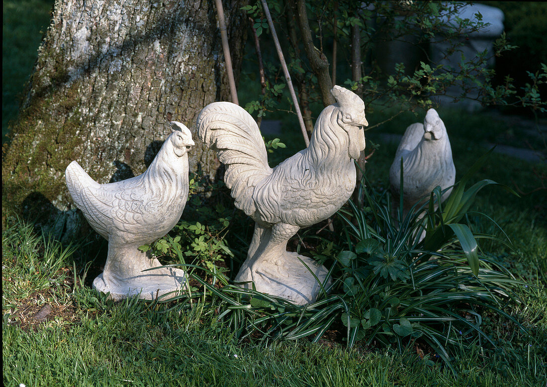Concrete cock and hen