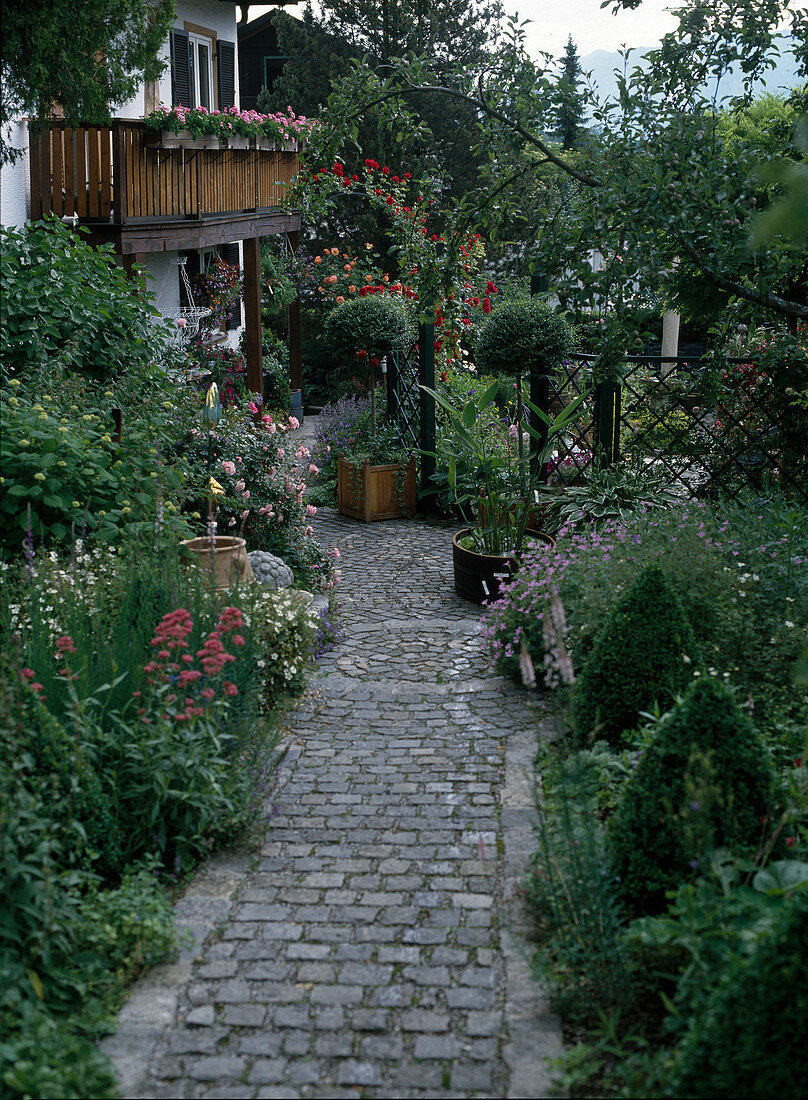 Cobblestones garden path