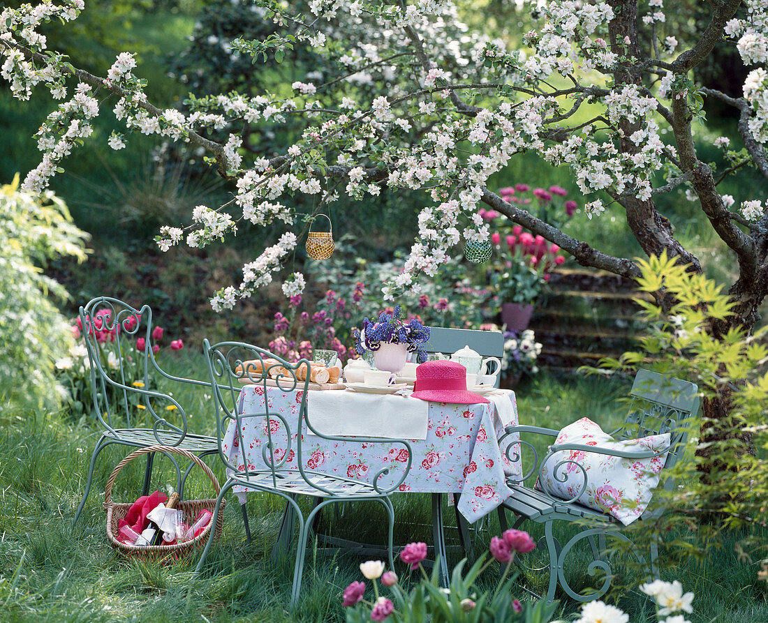 Seating under blossoming apple tree