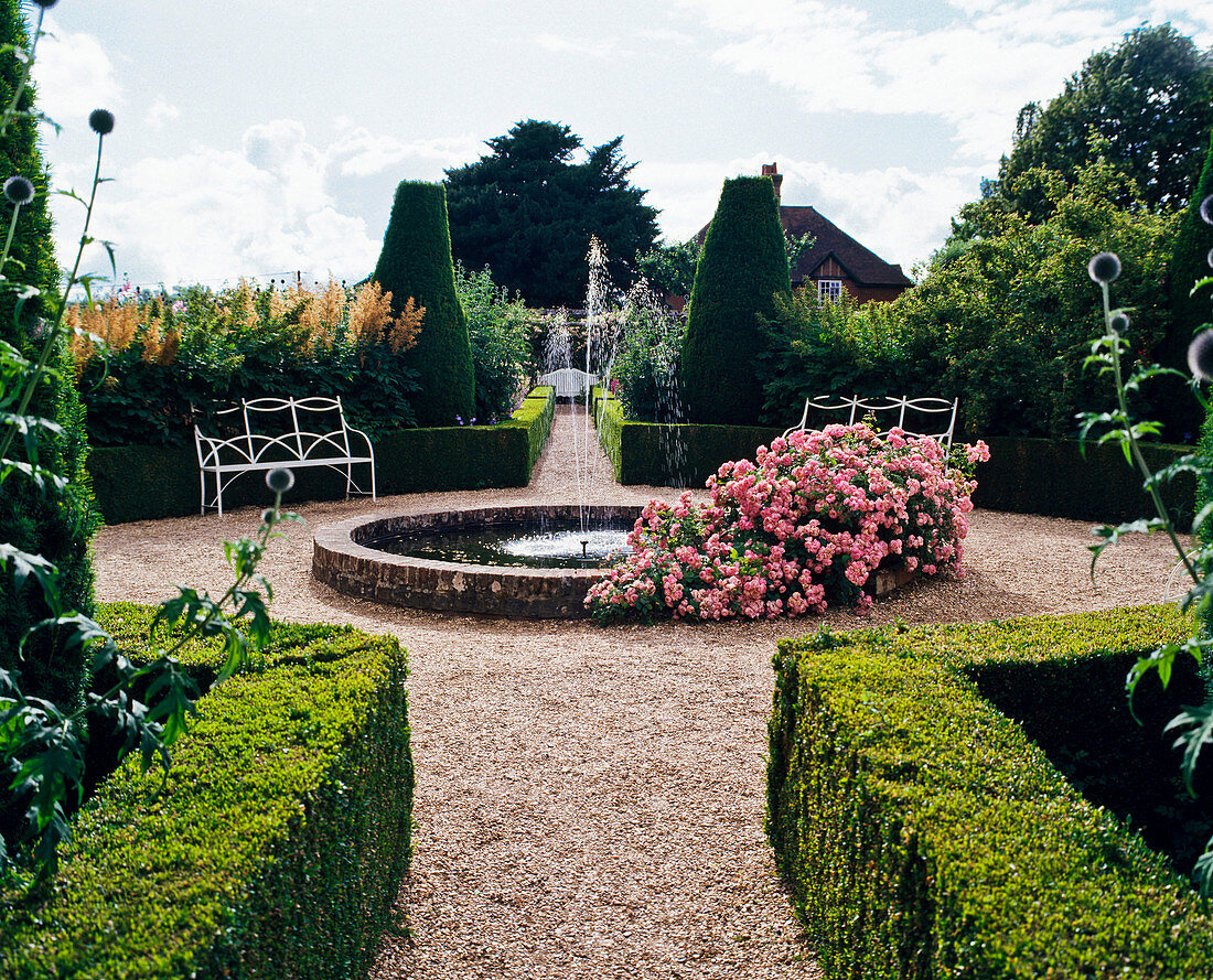 Buchsbaumhecke mit Springbrunnen und Rose