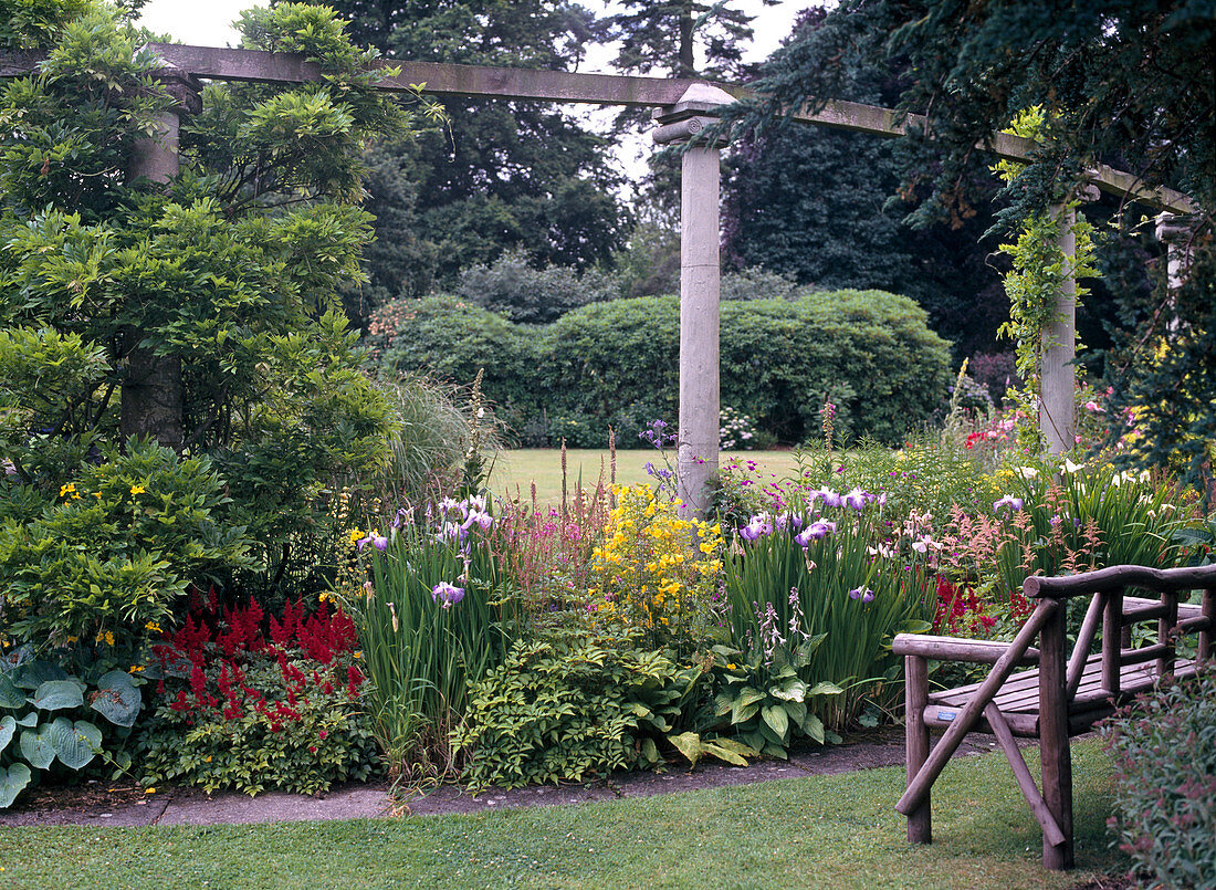 Astilbe, Iris kaempferi, Mimulus lutea, Astilbe