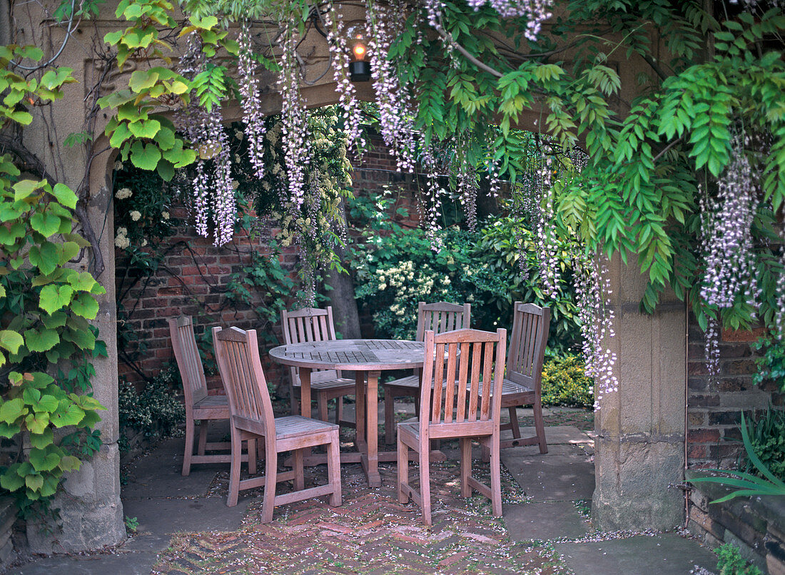 Seating area with blue vine