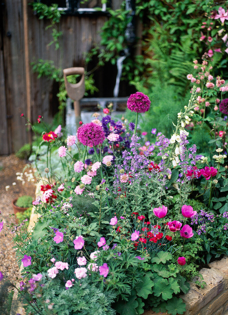 Allium, Geranium, Anemone, Nepeta, Scabiosa