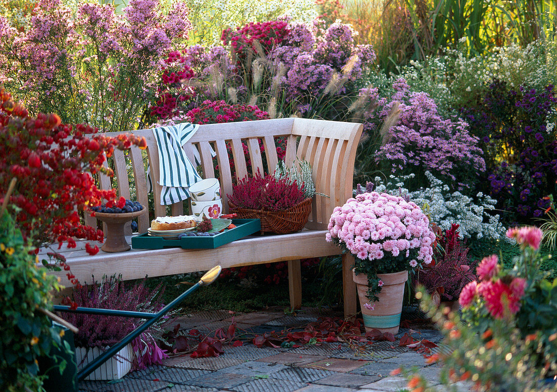 Autumnal seat with autumnal branches, Dendranthema and dahlias