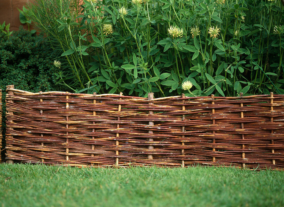 Border made of woven willow