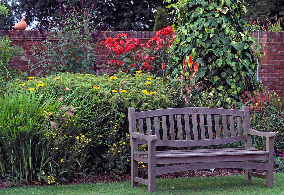 Garden bench Hedera, Kniphofia (Torch lily)